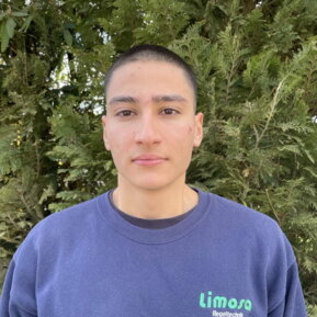 David Dumitrascu